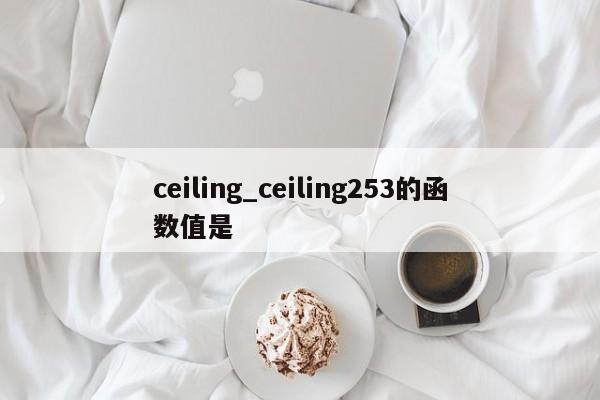 ceiling_ceiling253的函数值是
