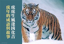 关于老虎的成语(关于老虎的成语和歇后语) 关于老虎的成语(关于老虎的成语和歇后语)