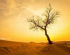 敬畏自然(敬畏自然和谐共生的议论文) 敬畏自然(敬畏自然和谐共生的议论文)