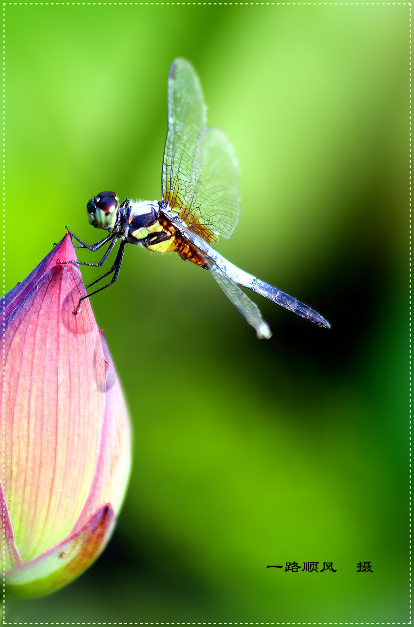 蜒的组词(蜒组词多音字) 蜒的组词(蜒组词多音字)