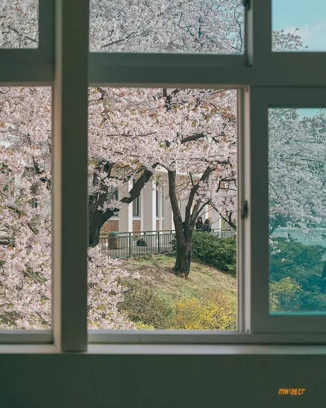 开一扇窗(开一扇窗 打破屋顶 妥协) 开一扇窗(开一扇窗 打破屋顶 妥协)