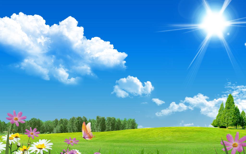 描写夏天的景色(描写夏天的景色的诗句)