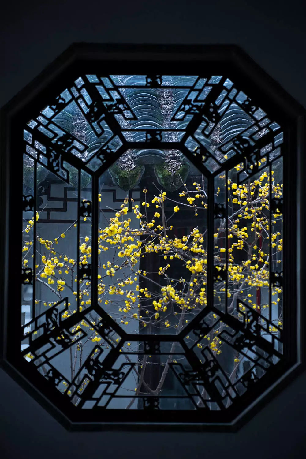 开一扇窗(生活给你关上一扇门,也会为你打开一扇窗) 开一扇窗(生活给你关上一扇门,也会为你打开一扇窗)