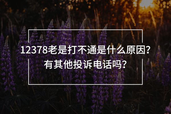 12378打不通(01012378打不通) 12378打不通(01012378打不通)