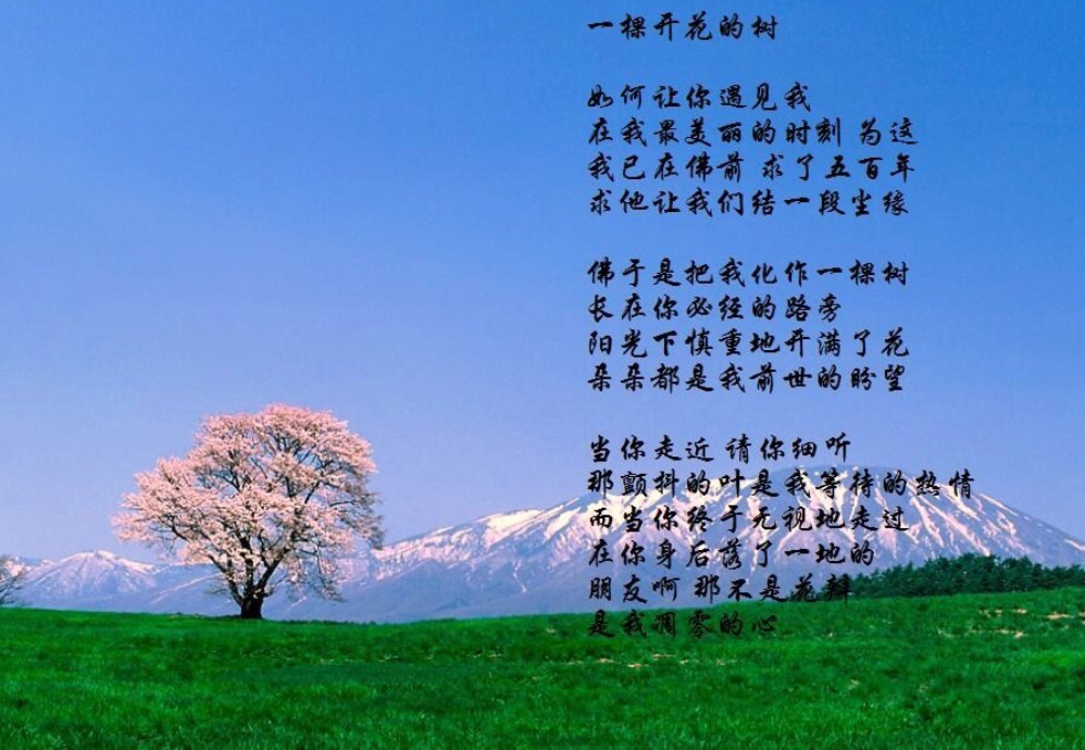 席慕容诗歌(席慕容诗歌的艺术特色)