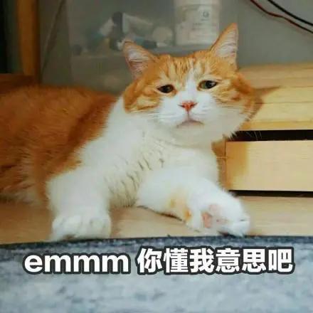 12378打不通(12378打不通怎么投诉) 12378打不通(12378打不通怎么投诉)