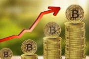 比特币不公平(比特币公平吗)
