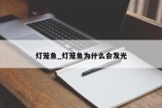 灯笼鱼_灯笼鱼为什么会发光