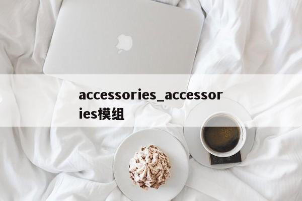 accessories_accessories模组