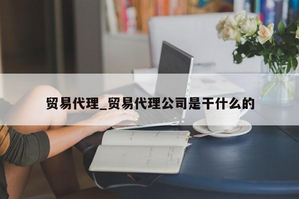 贸易代理_贸易代理公司是干什么的