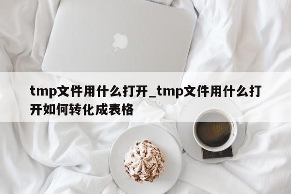 tmp文件用什么打开_tmp文件用什么打开如何转化成表格