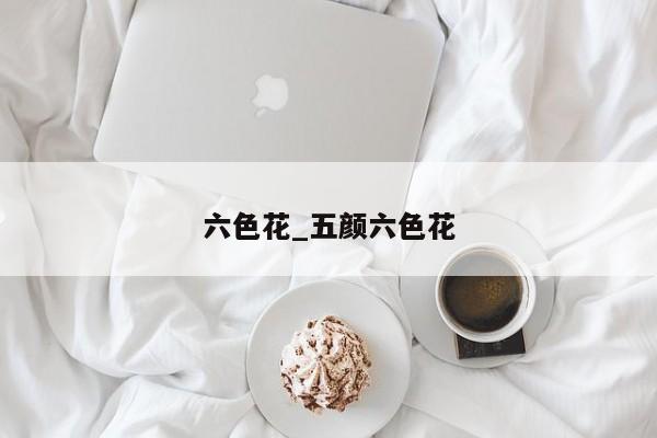 六色花_五颜六色花