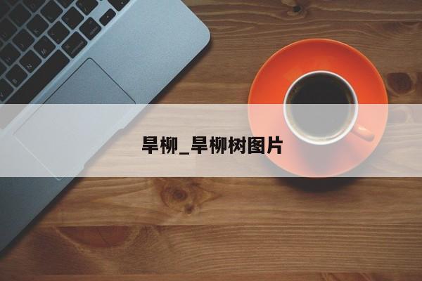 旱柳_旱柳树图片