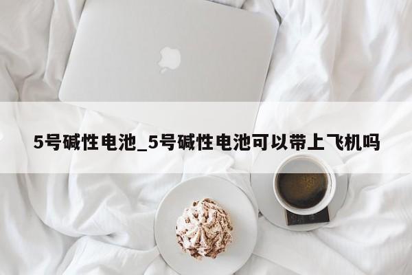5号碱性电池_5号碱性电池可以带上飞机吗