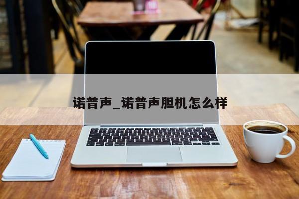 诺普声_诺普声胆机怎么样